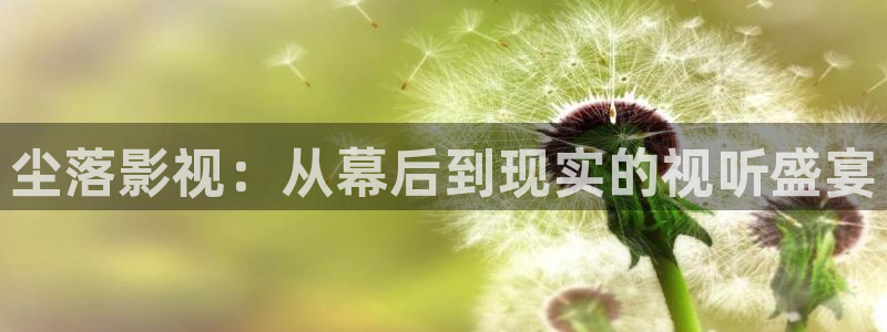 穿梭在韓國影視世界的小說：塵落影視：從幕后到現實的視聽盛宴