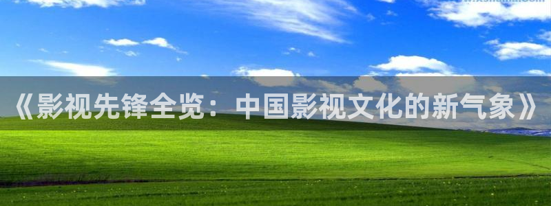 韓國影視：《影視先鋒全覽：中國影視文化的新氣象》