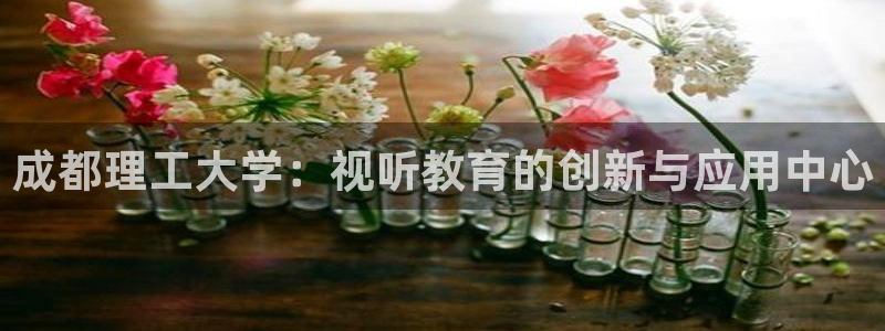 韓國影視免費在線觀看：成都理工大學：視聽教育的創新與應用中心